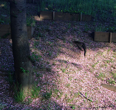 言葉のスキマ / No.08